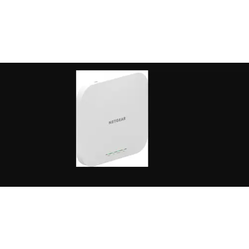 Netgear WAX610-100EUS