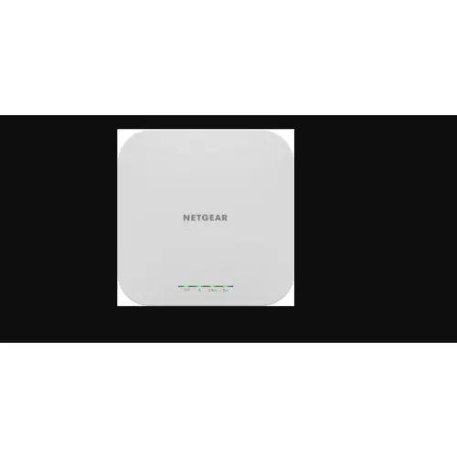 Netgear WAX610-100EUS