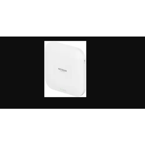 Netgear WAX620-100EUS