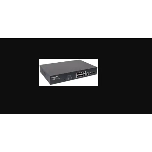Intellinet 561167