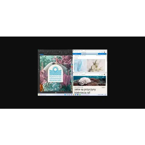 Windows 11 Home OEM DVD PL