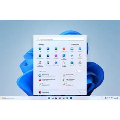 Windows 11 Home OEM DVD ENG