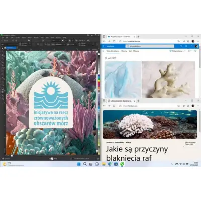 Windows 11 Home OEM DVD ENG