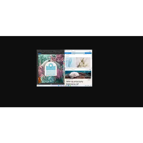 Windows 11 Home OEM DVD ENG