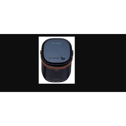 ASUS ZenBeam L2