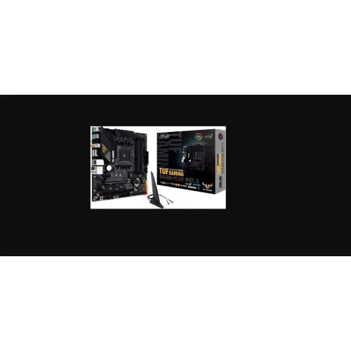 ASUS TUF GAMING B550M-PLUS (WI-FI) II