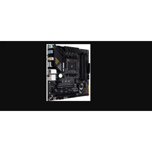 ASUS TUF GAMING B550M-PLUS (WI-FI) II
