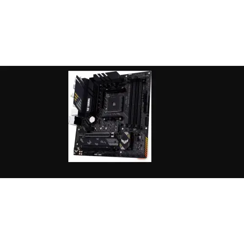 ASUS TUF GAMING B550M-PLUS (WI-FI) II