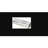 Kingston Fury Beast White EXPO 32GB [2x16GB 5600MHz DDR5 CL36 DIMM]