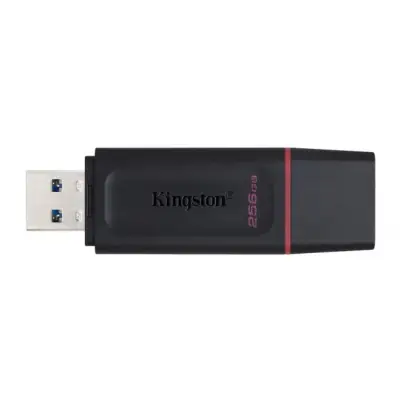 Kingston 256GB USB 3.2 Gen1 DataTraveler Exodia różowy