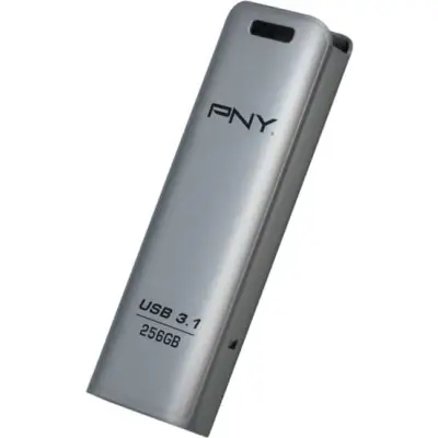 PNY Elite Steel 3.1 256GB