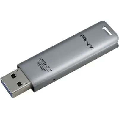 PNY Elite Steel 3.1 256GB