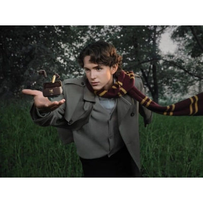realme Buds T500 Pro Harry Potter Edition