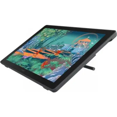 Huion Kamvas 24 Plus