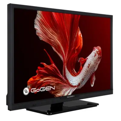 GoGEN TVH24P352T