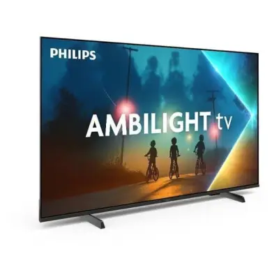 PHILIPS 55PUS8100/1255