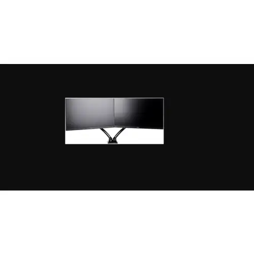 iiyama DS3002C-B1 dual
