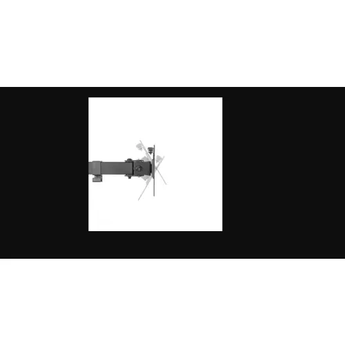 Neomounts FPMA-D550DD3BLACK
