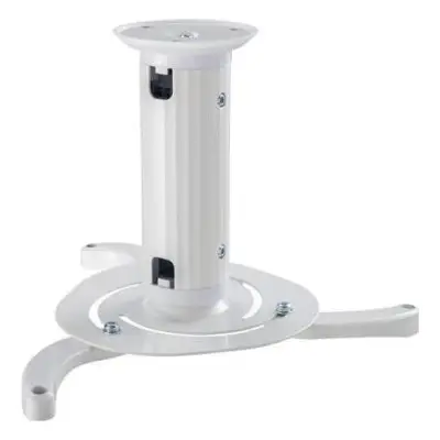 Neomounts (wysokość: 8-15 cm)