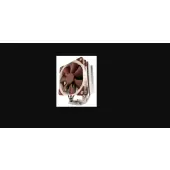 Noctua NH-U12S