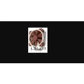 Noctua NH-U12DX i4