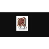 Noctua NH-U12S TR4-SP3